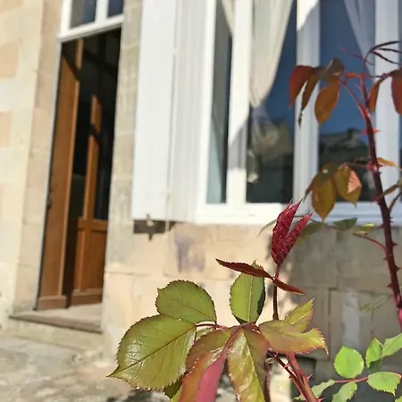 The Painted House * Authentic *